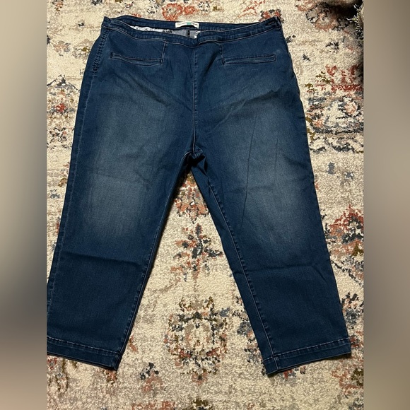 NWOT Anthropologie Jeans - size 26W